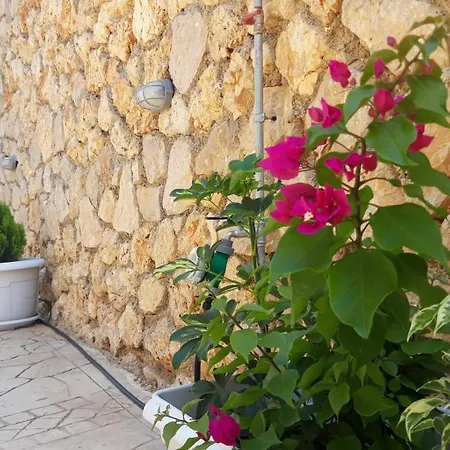 Avra Loft Appartamento *